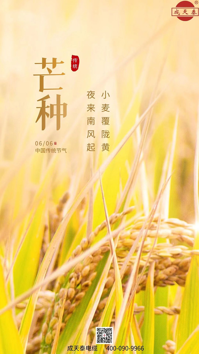 四野麦稻收播忙 乘风逐梦启征程