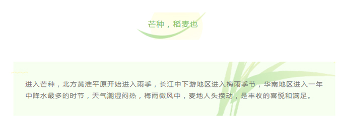 四野麦稻收播忙 乘风逐梦启征程